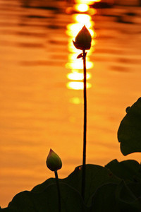 美国田径运动员再次蝉联冠军