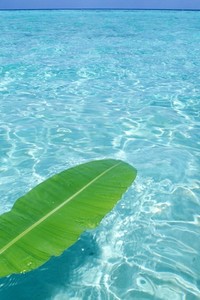 澳洲职业足球联赛赛事频繁，球队备战