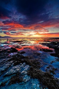 危地马拉女足力克对手取得南美洲杯冠军