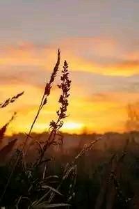 立陶宛篮球联赛强强对决，球员斗志昂扬